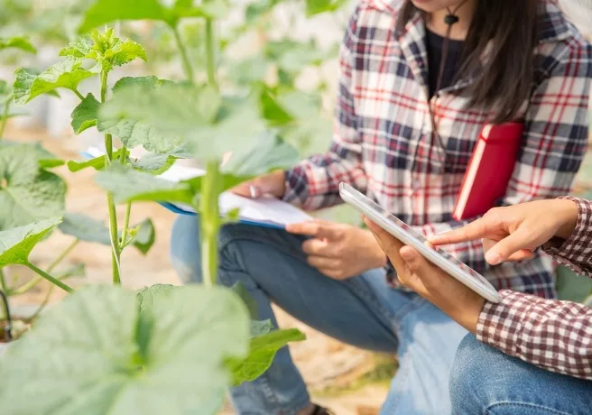 ARTIFICIAL INTELLIGENCE (AI) TOOLS AND RURAL ENTREPRENEURSHIP: TOWARDS A DIGITAL, INNOVATIVE AND GREEN FUTURE