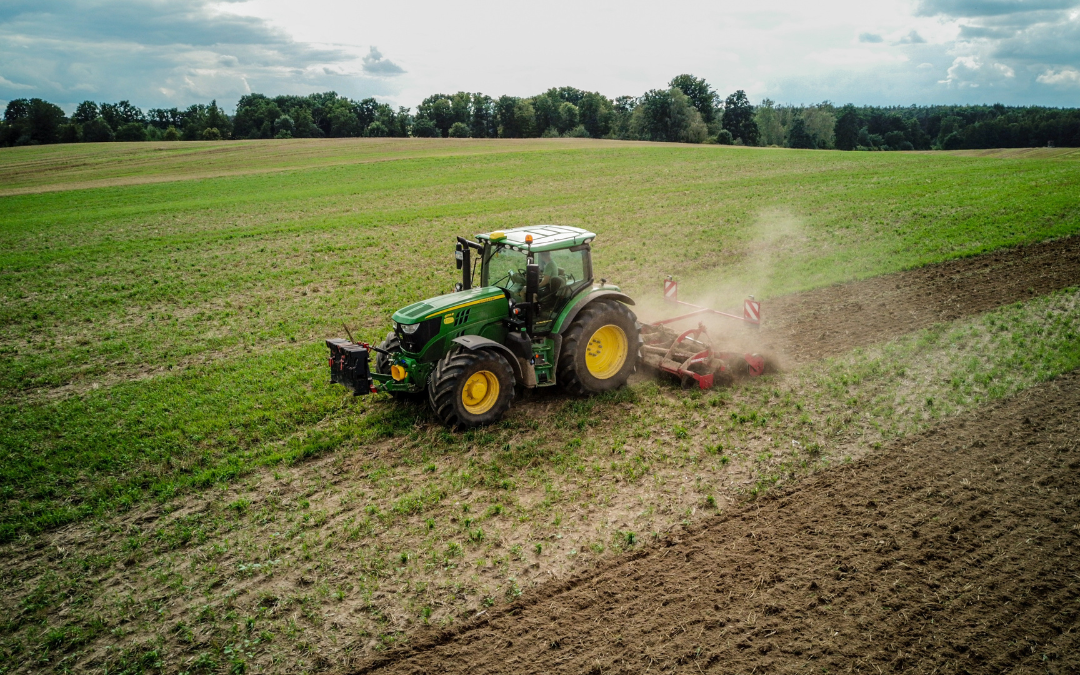 Revitalizing Rural Areas: A Win-Win for Employees and Enterprises